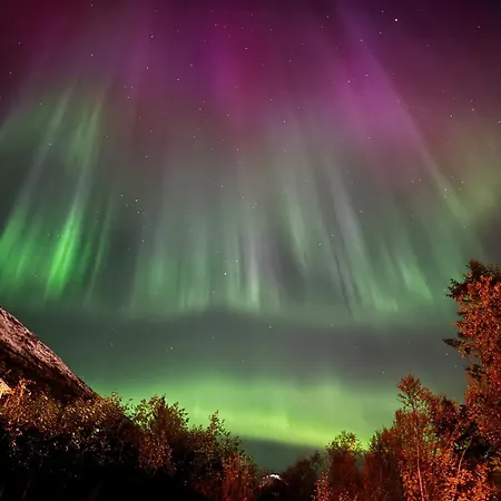 公寓 Alkove 特罗姆瑟